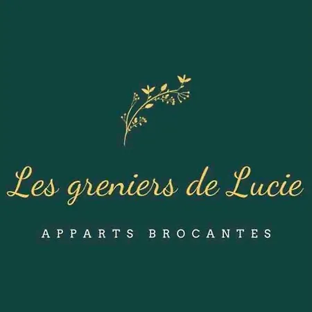 Appart Brocante Au Coeur Du Vieux * Tours